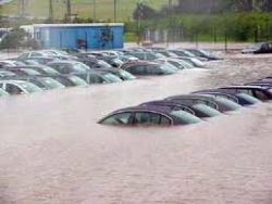 Picture of flooded cars