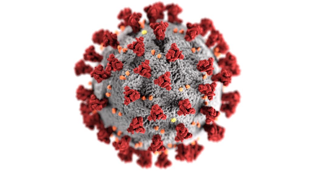 corona virus molecule