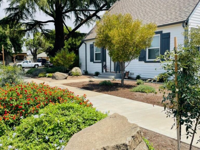 drought tolerant plants in a front garden